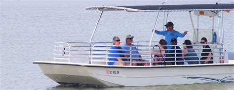 Guided Eco Boat Tours - Charleston Outdoor Adventures | Boat tours, Outdoors adventure ...