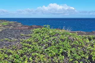 Lava Shoreline on Hawaii’s Big Island | Looking east over th… | Flickr