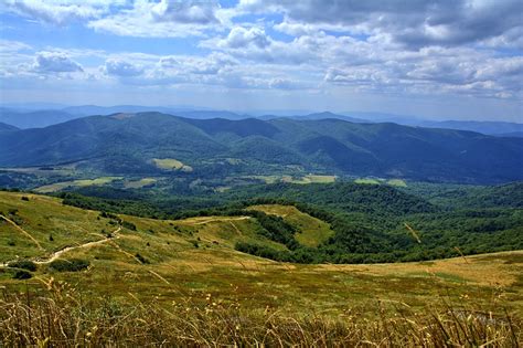 Bieszczady Tarnica Beech Berdo · Free photo on Pixabay