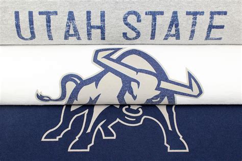 Utah State Aggies 20x30 | Worn But Not Forgotten Sports Art