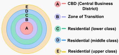 Burgess" 1923 Concentric Zone Theory Urban Land Use Model. Source ...