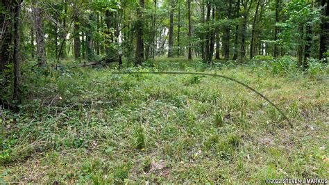 Poverty Point National Monument | BORROW PIT