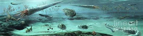 Ordovician Sea Photograph by Masato Hattori/science Photo Library - Pixels