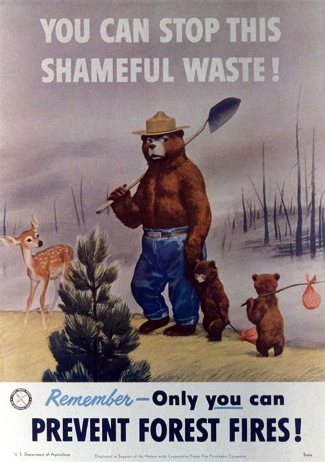 Smokey The Bear Poster