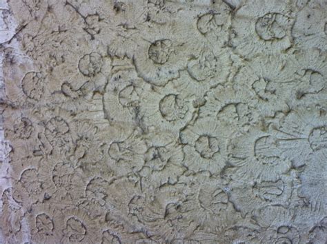 walls - What tool and technique do I use to achieve this finish in plaster? - Home Improvement ...