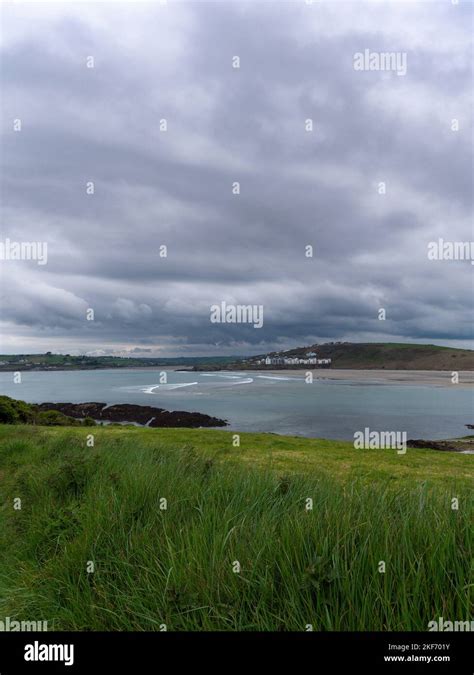 View of Clonakilty Bay. Thick grass. The coastline of the Ireland ...