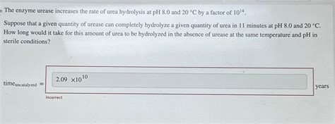 Solved The enzyme urease increases the rate of urea | Chegg.com