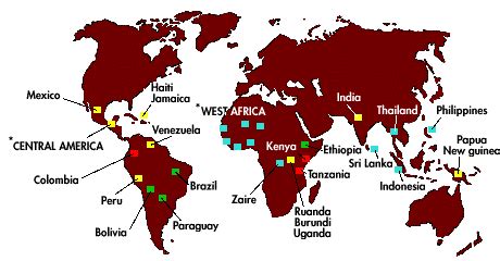 1 shows the major areas of coffee production in the world. The annual ...