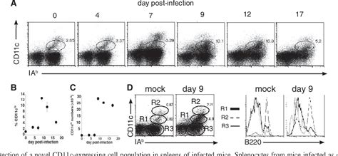 Figure 2 from CD11c Expression Identifies a Population of Extrafollicular Antigen-Specific ...