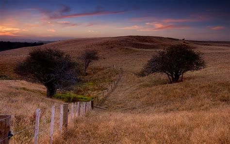 Field and fence wallpapers and images - wallpapers, pictures, photos