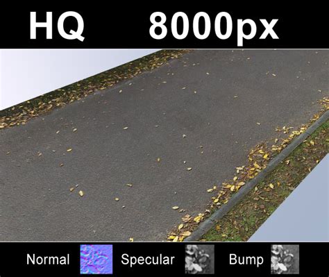 HDRI Hub - Road with Leaves 2