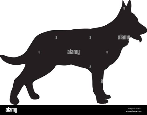 German shepherd dog alsatian Cut Out Stock Images & Pictures - Alamy