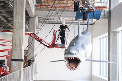 Watch JAWS' Bruce the Shark Installed at the Academy Museum of Motion ...