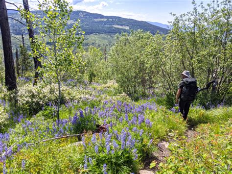 Okanagan Mountain Park: A Complete Hiking and Paddling Guide