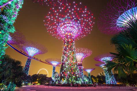 Spectacular Supertrees – Supertree Grove at Gardens by the Bay ...