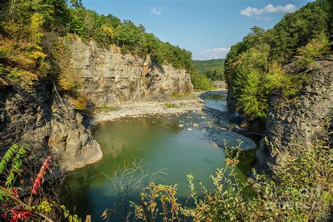 Genesee River Gorge Photograph by Karen Jorstad - Fine Art America