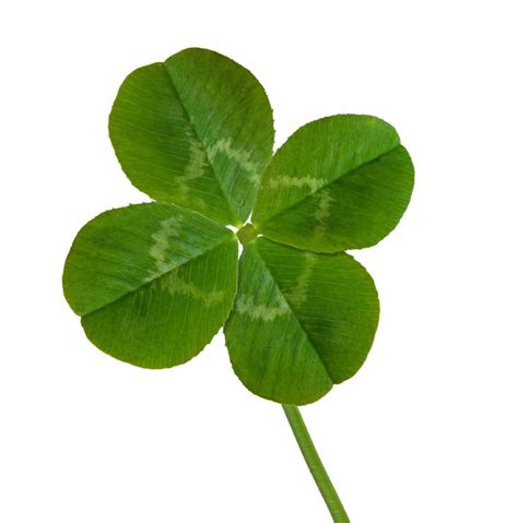 Four Leaf Clover Wallpapers - Wallpaper Cave