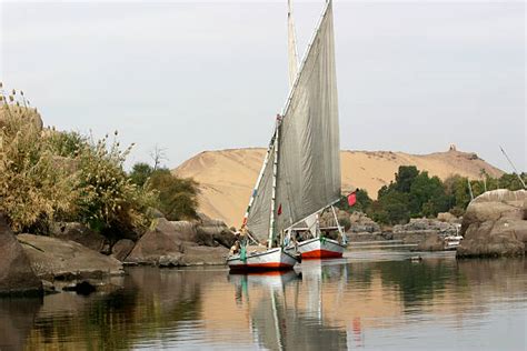 Best Lateen Sail Stock Photos, Pictures & Royalty-Free Images - iStock