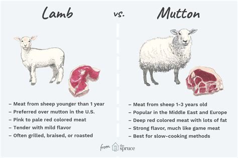 Learn the Difference Between Lamb and Mutton