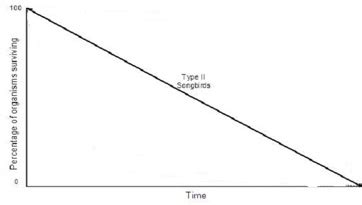 Survivorship Curve Definition, Types & Examples - Lesson | Study.com