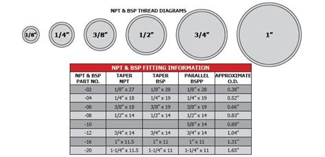 Jic Hydraulic Fitting Size Chart - Greenbushfarm.com