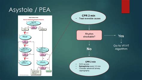 ACLS 2010 Algorithm Review Asystole PEA - YouTube