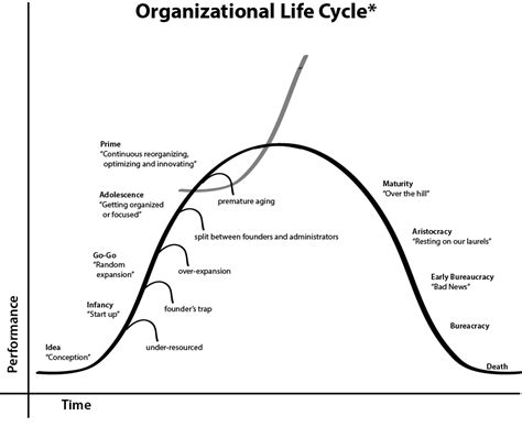 Life Cycles — How We Stay In Prime » Right to Joy! - Transforming Fear to Joy!