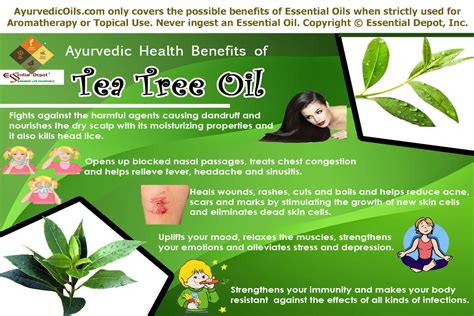 Tea Tree Essential Oil | Essential Oil