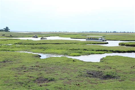 Chobe River Cruise & the history of Sedudu Island | A Simply Fab Life