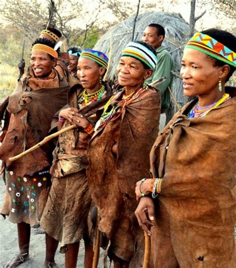 The Survival Of The Kalahari Bushmen At Risk
