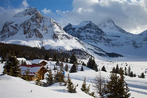 Assiniboine Lodge - Reviews & Photos