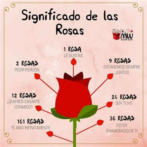 Significado de las rosas | Lenguaje de las flores, Idioma de las flores ...