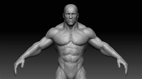 modèle 3D de Corps masculin musclé - TurboSquid 869435