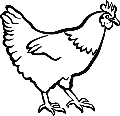 Chicken Black And White Clipart | Free download on ClipArtMag