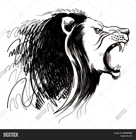 Angry Lion. Black Image & Photo (Free Trial) | Bigstock