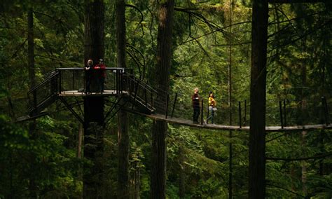 Treetops Adventure | Capilano Suspension Bridge Park