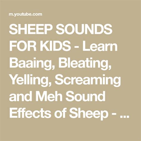 SHEEP SOUNDS FOR KIDS - Learn Baaing, Bleating, Yelling, Screaming and ...