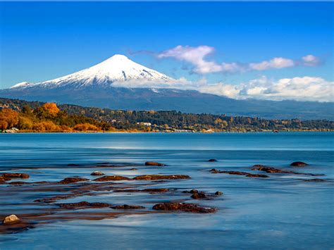 Así es el inédito proyecto que busca descontaminar el Lago Villarrica