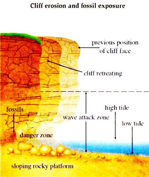 Diagram description 7 - Cliff erosion