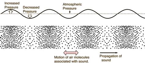 fluorF's laboratory: 음악과 물리학 - 2. 소리와 파동 (Music and Physics - 2. Sound and Waves)