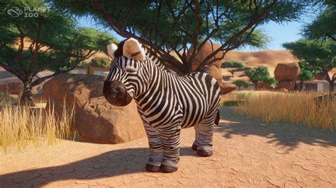 Planet Zoo’s animals get super chonky with newly unlocked Easter eggs | PCGamesN