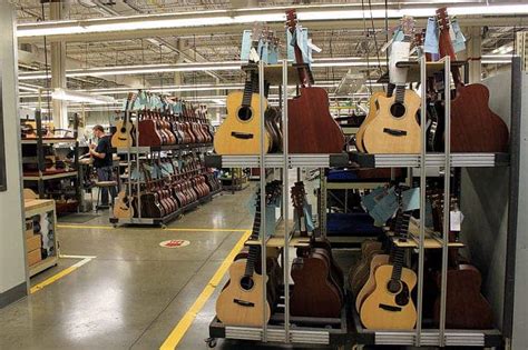 Out of tune with nature: the guitar industry's growing environmental ...