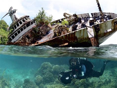 Solomon Islands Diving, an essential guide - Master Liveaboards