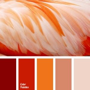 coral and pink | Color Palette Ideas