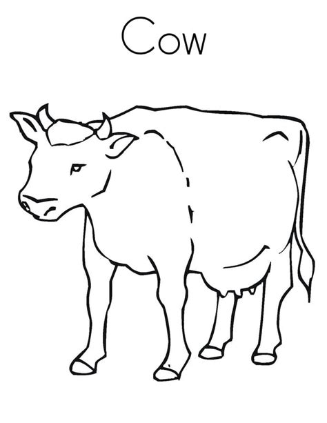 Texas Longhorn Cow Coloring Page - Free Printable Coloring Pages for Kids