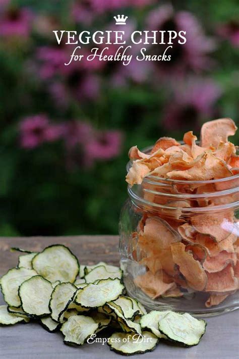 Veggie Chips Healthy Snack Recipe - Empress of Dirt