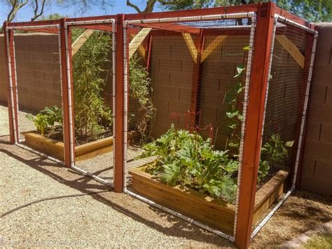 Do you have a backyard garden growing that you need to protect from ...