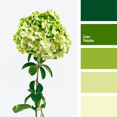 color combinations | Color Palette Ideas