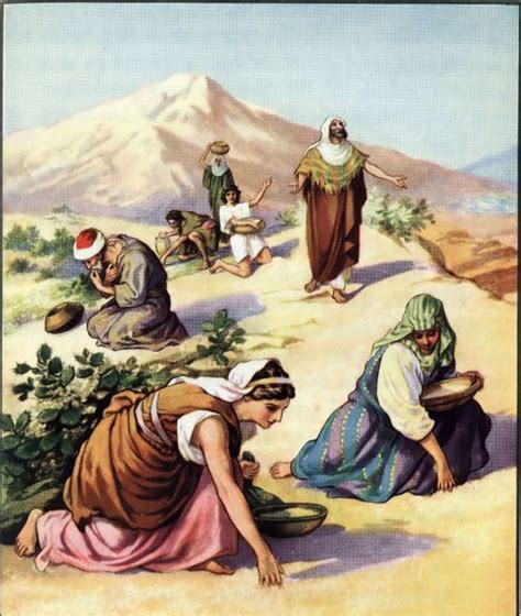 Manna From Heaven (With images) | Bible art, Bible pictures, Bible