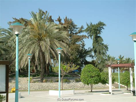 Jumeirah Beach Park - Dubai